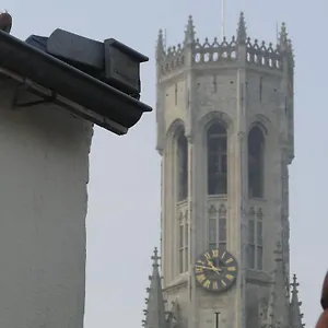 Zucchero , Bruges Belgium